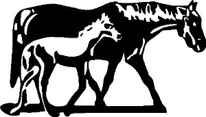 Mom and Baby Horse, Vinyl decal sticker