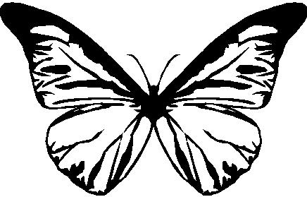 Butterfly, Vinyl Cut Decal